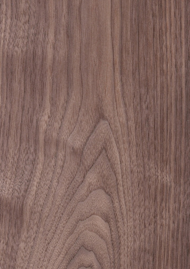 WALNUT.V.CC