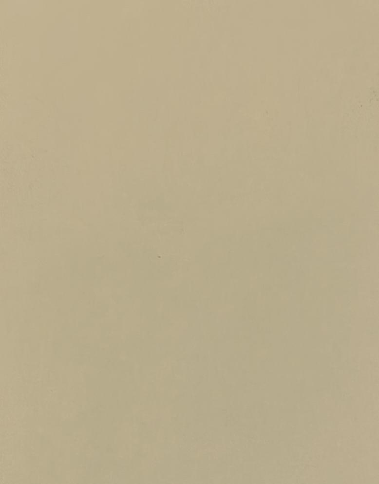 MELMDF18MMS.233