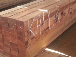[K4420] K4420