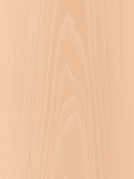 [BEECH.V.QC] BEECH.V.QC